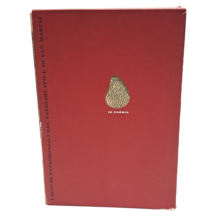 I boschi patrimoniali del patriarcato e di San Marco in Carnia