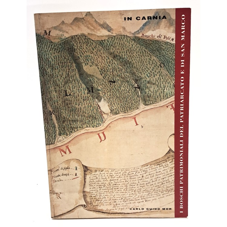 I boschi patrimoniali del patriarcato e di San Marco in Carnia