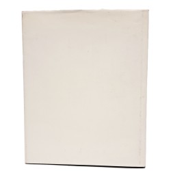 Il castello di Udine 2