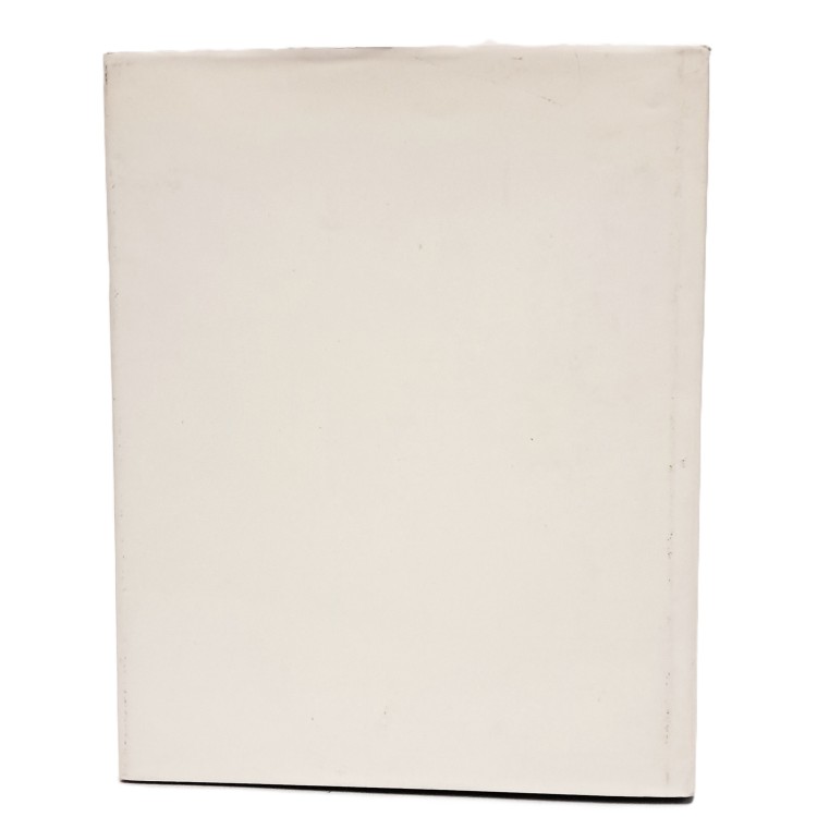 Il castello di Udine