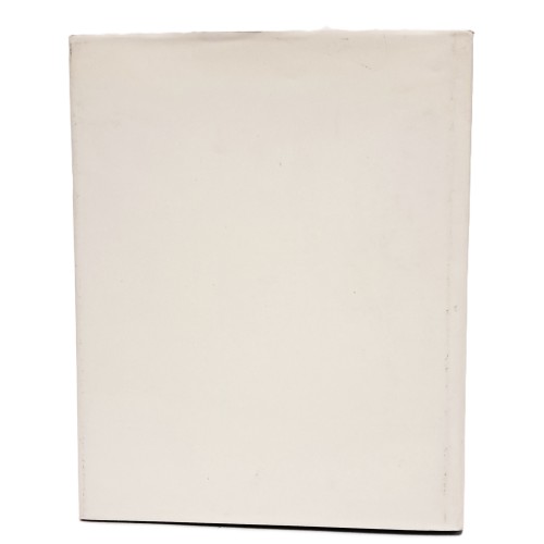 Il castello di Udine