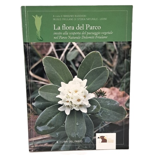 La flora del parco invito alla scoperta del paesaggio vegetale nel Parco Naturale Dolomiti Friulane