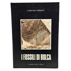 I fossili di Bolca