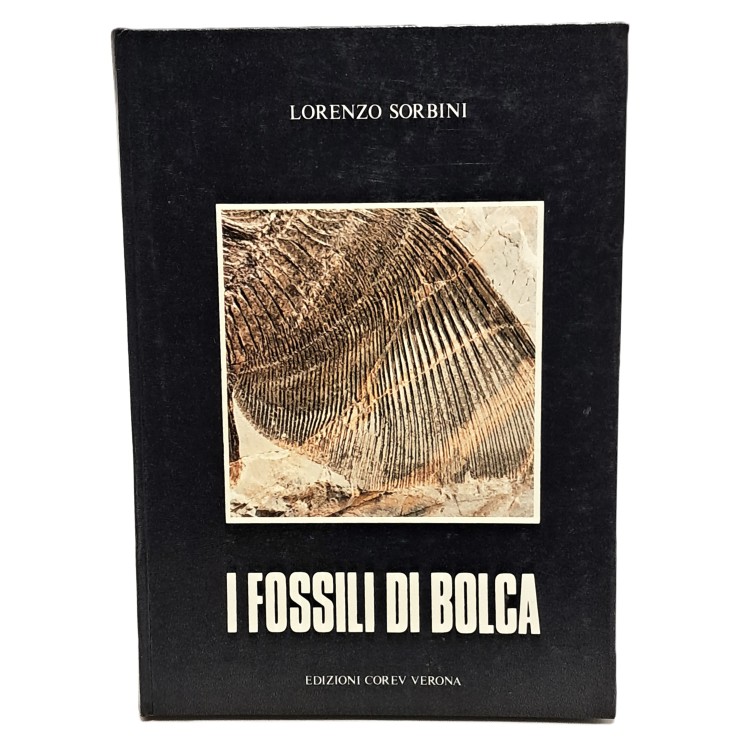 I fossili di Bolca