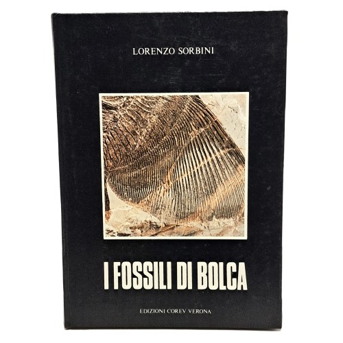 I fossili di Bolca