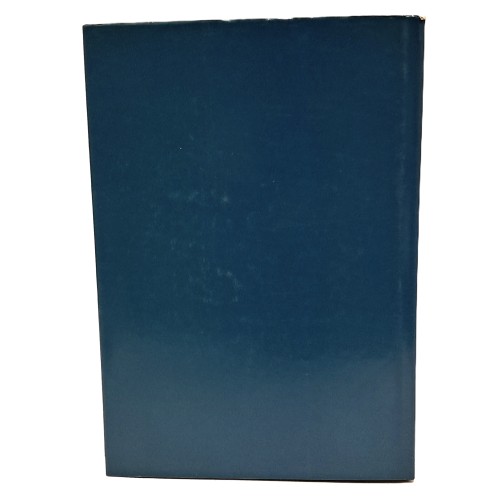 Gli Ex-voto della Madonna delle Grazie di Udine