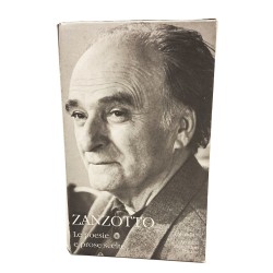 Zanzotto le poesie e le prose scelte
