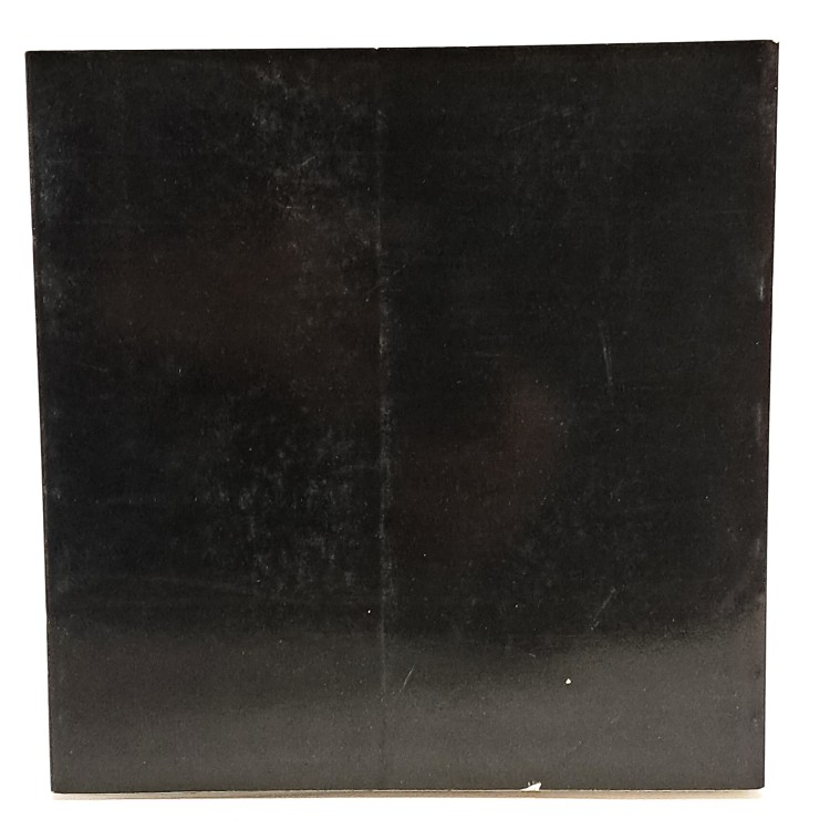 Badia Polesine contributo per la conoscenza della città