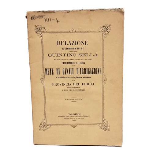 Relazione al commissario del re Quintino Sella sul divisamento di formare con le acque