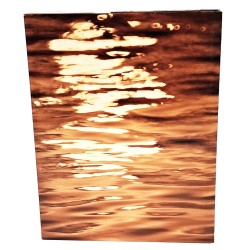 Stella le risorgive e il suo parco 2