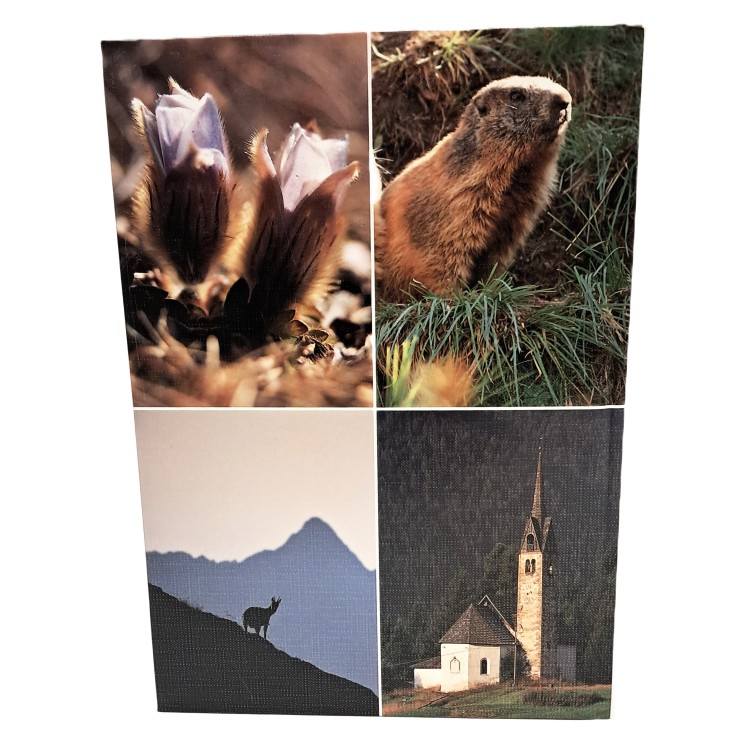 Ecologia della montagna bellunese