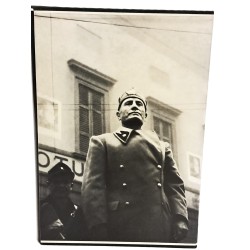 Salò. Vita e morte della repubblica sociale italiana