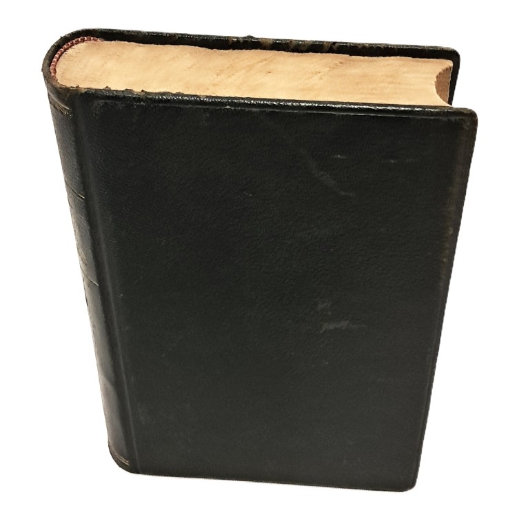 La riscossa. Dal 25 luglio alla liberazione