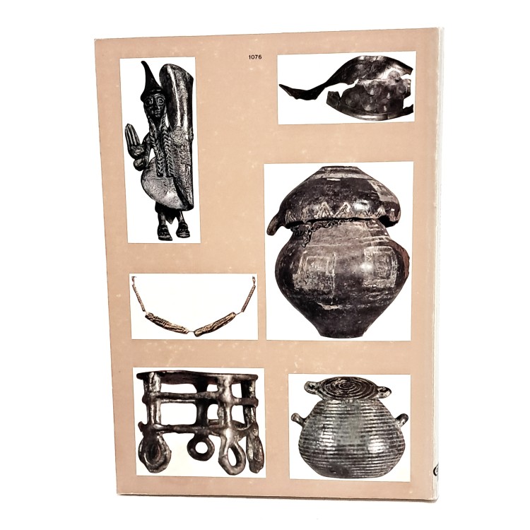 La cultura villanoviana. Guida ai materiali della prima età del Ferro nel museo di Villa Giulia