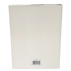 Il labirinto alfabetico. Le lettere nella storia e nel pensiero 2