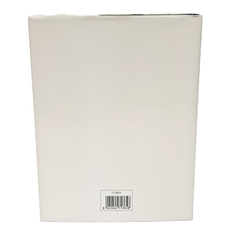 Il labirinto alfabetico. Le lettere nella storia e nel pensiero