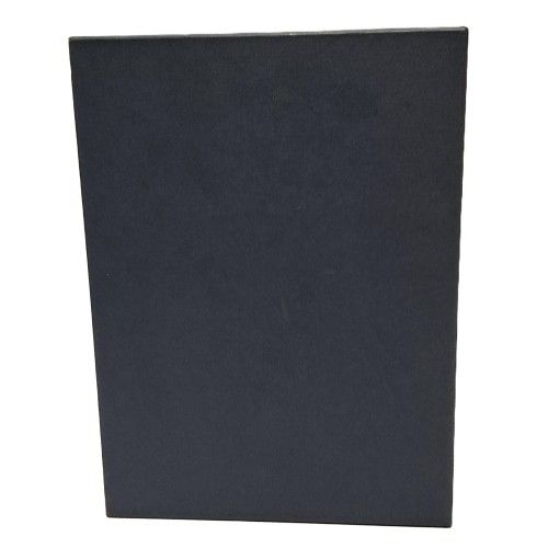 La Basilica di Santa Anastasia a Verona. Storia e restauro