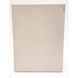 Homo. Viaggio alle origini della storia 2