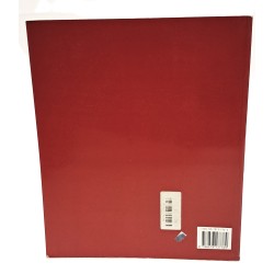 Via Appia sulle ruine della magnificenza antica 2