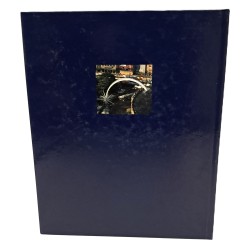 In volo su Verona e il suo territorio. La natura, la città e i monumenti 2