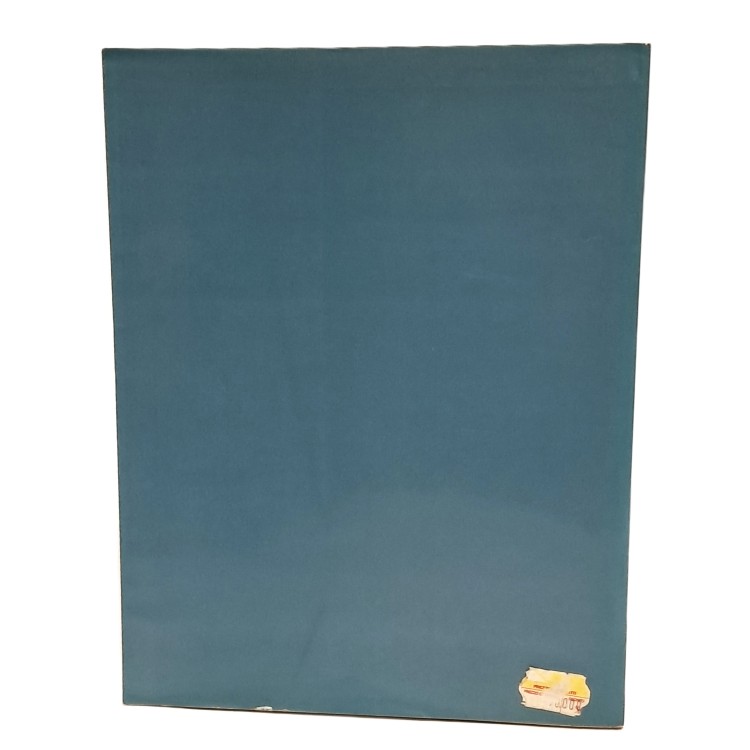 Canaletto. Disegni-dipinti-incisioni