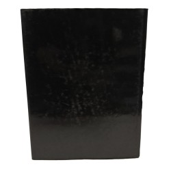 I Sardi. La Sardegna dal paleolitico all'età romana 2