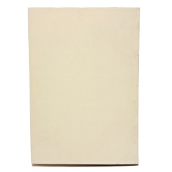 Memorie storiche forogiuliesi anno XVI 2