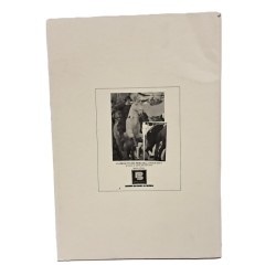 Animali d'artista e supplemento 2