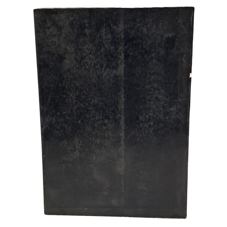 Guardi metamorfosi dell'immagine