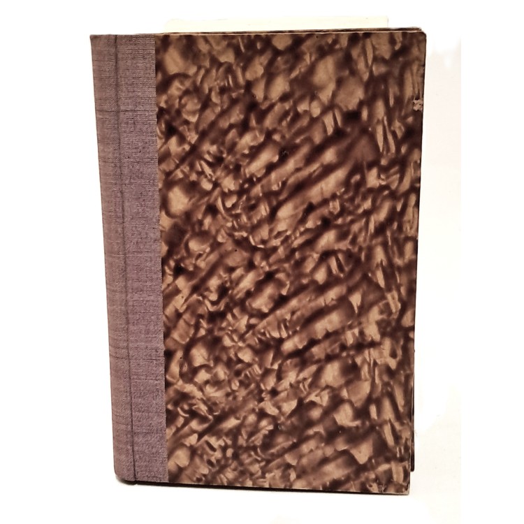 L'alba dell'umanità e dell'arte. La civiltà paleo-europea attraverso la sua arte