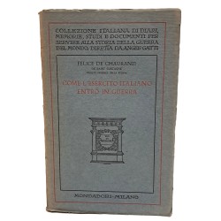 Come l'esercito italiano entrò in guerra