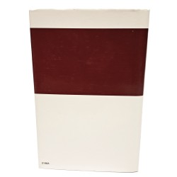 Manoscritti segreti di Qumran 2