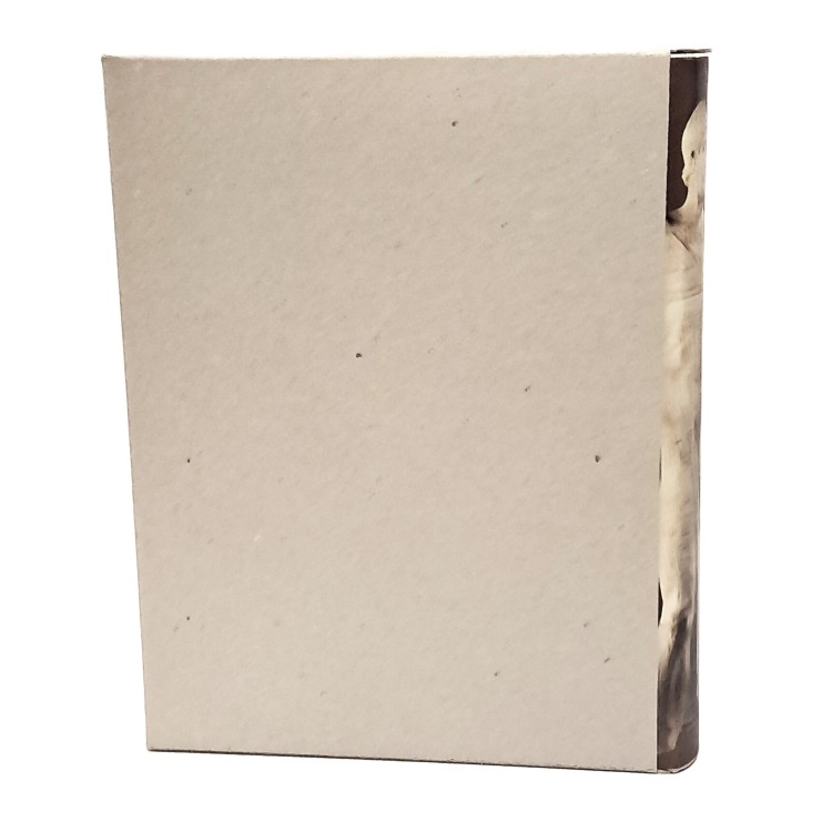 Sikanie storia e civiltà della Sicilia greca