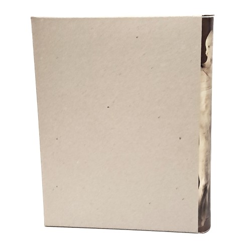 Sikanie storia e civiltà della Sicilia greca