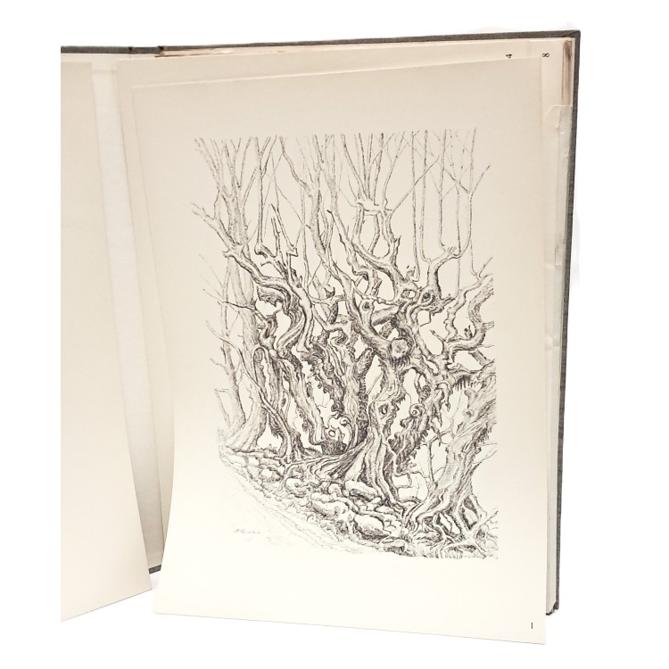 Case rustiche nel bellunese