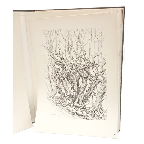 Case rustiche nel bellunese