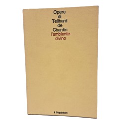 L'ambiente divino