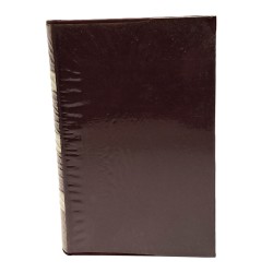 Mistici indiani medievali 2