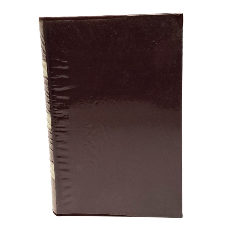 Mistici indiani medievali