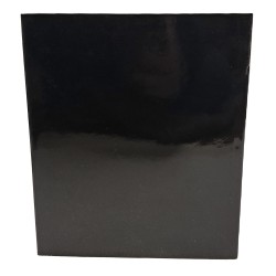 Manifesti della protesta e della rivoluzione 2