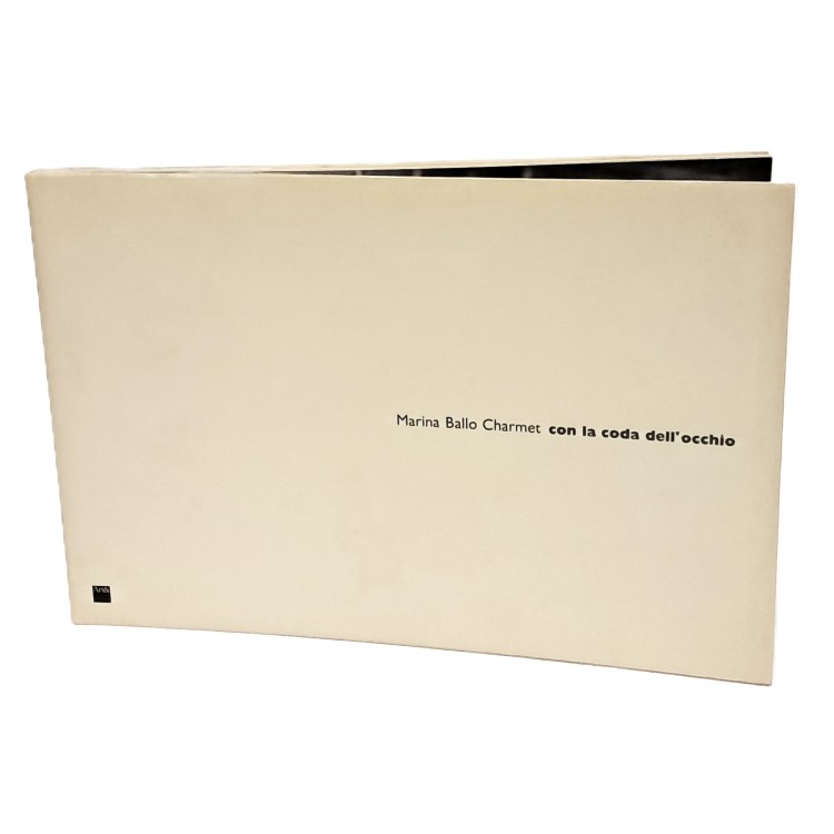 Con la coda nell'occhio