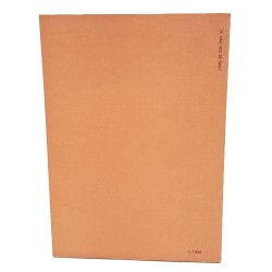 Omaggio a Giuseppe Botti 2