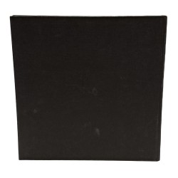 Michelangelo architettor poeta 2