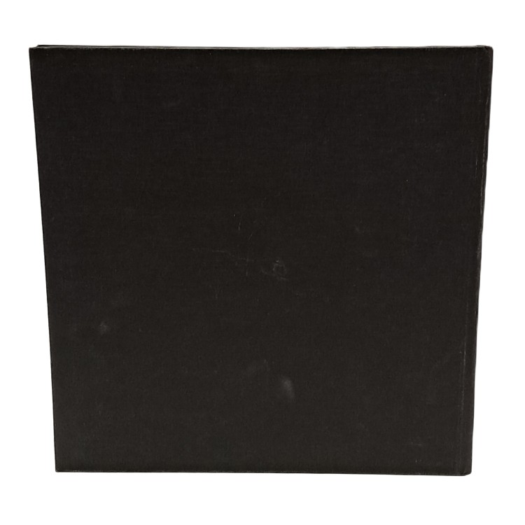 Michelangelo architettor poeta