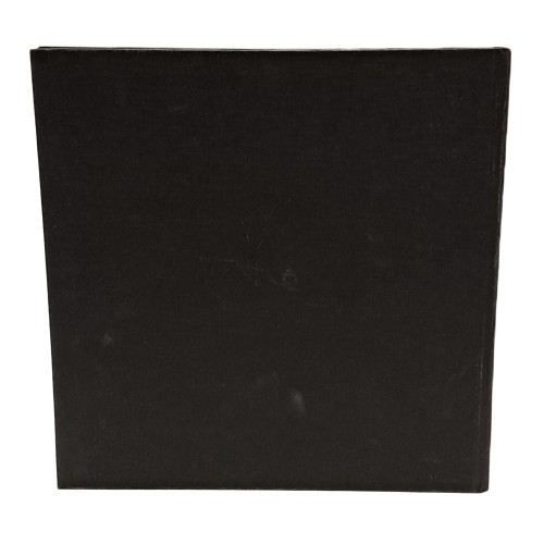 Michelangelo architettor poeta