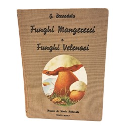 Funghi mangerecci e funghi velenosi