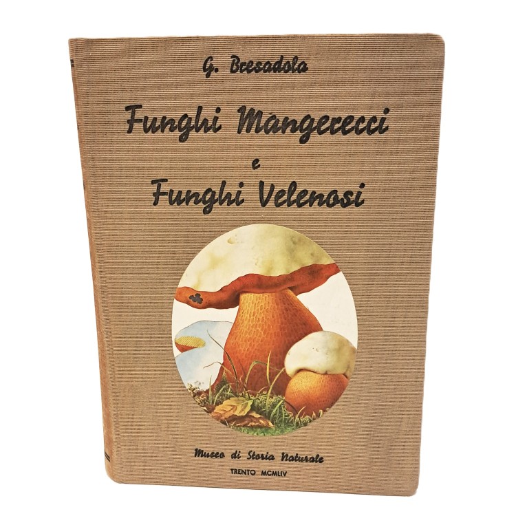 Funghi mangerecci e funghi velenosi