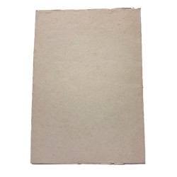 La certosa di Pavia 2