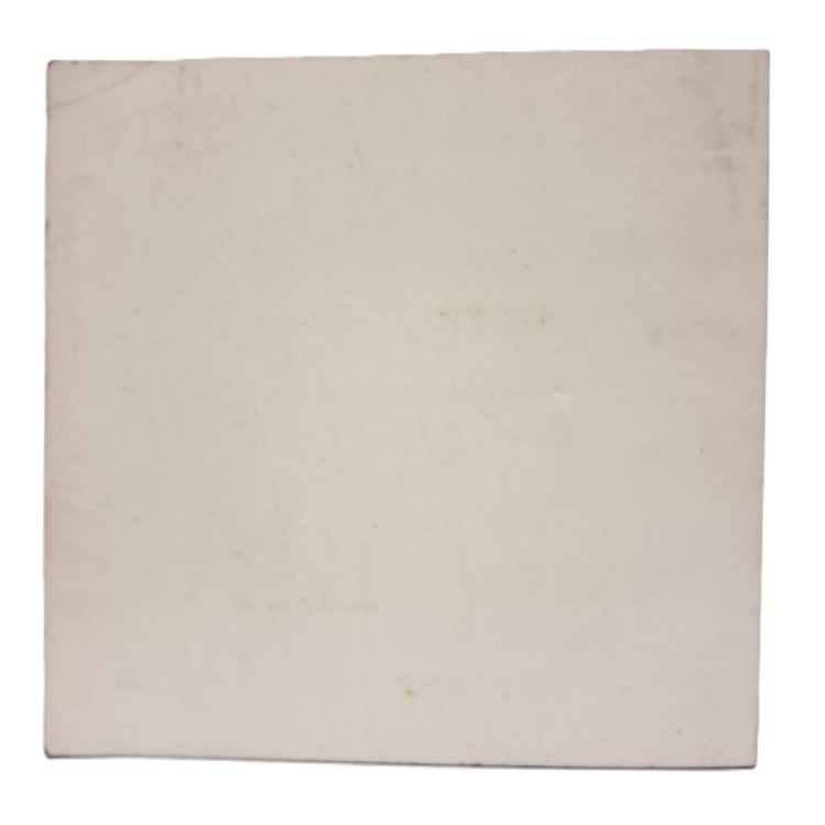 La tigre di carta. Viatico alla retorica pubblicitaria