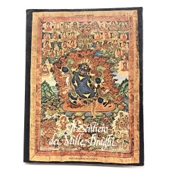 Il sentiero dei mille draghi. Viaggio viandanti, donne e sogno nel mito dell'Estremo Oriente